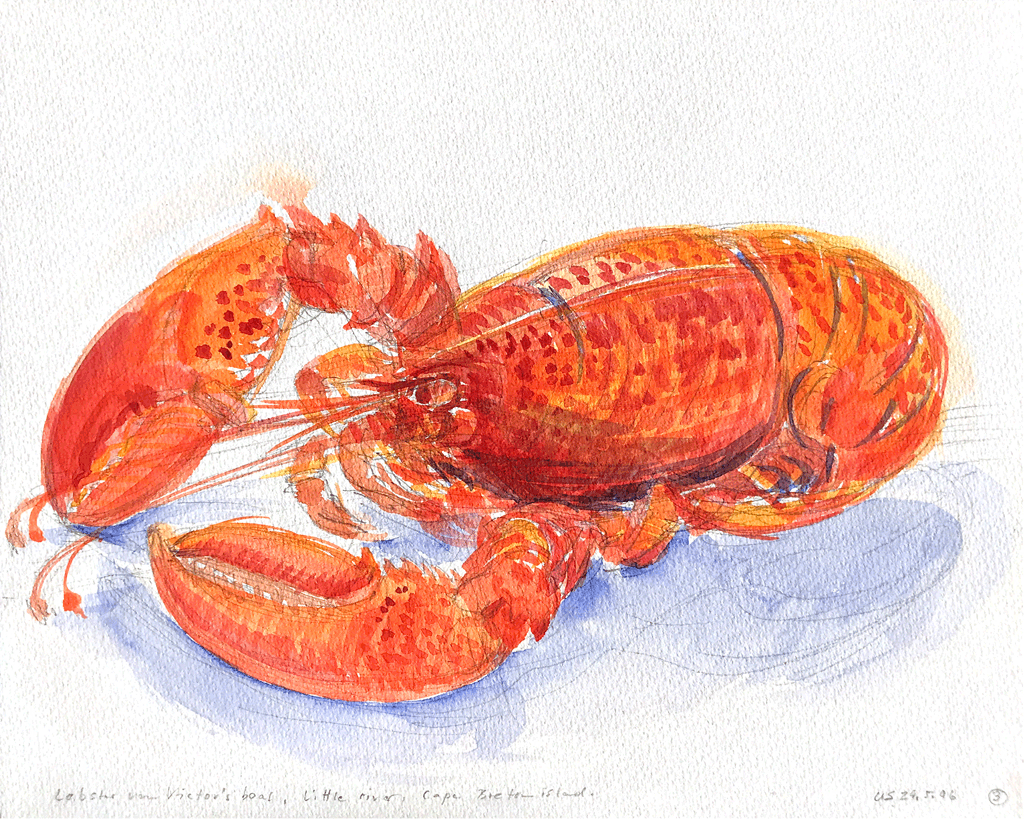 013Lobster1024
