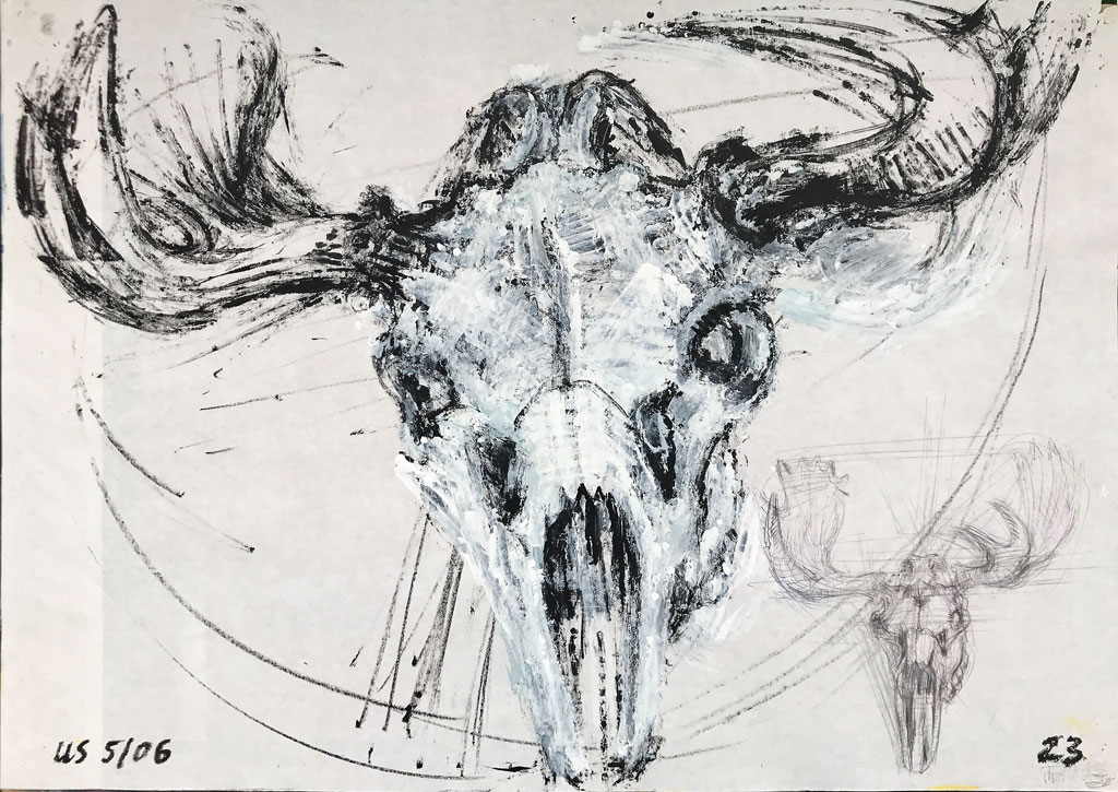 56Moose skull1024