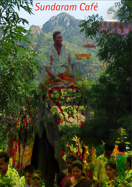 3Sundaram_Elefant450