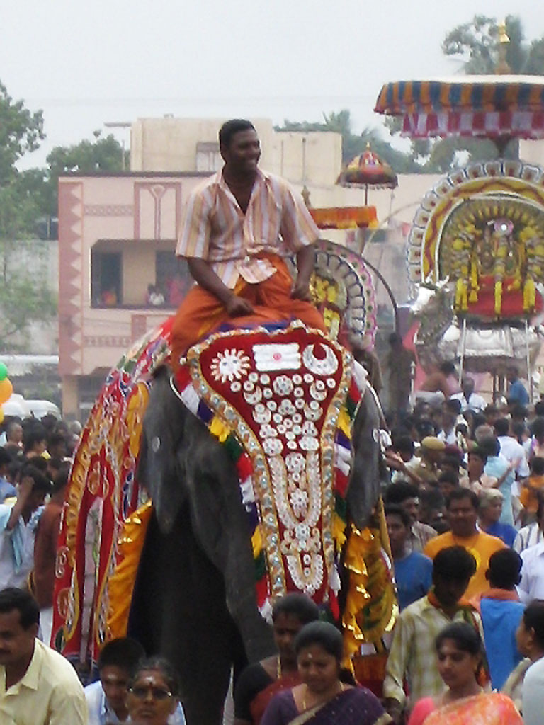 03Arunachala Elefant1024