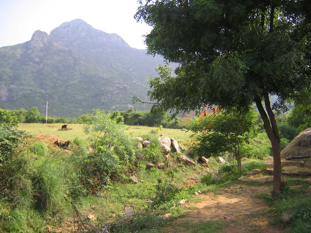 Arunachala1024