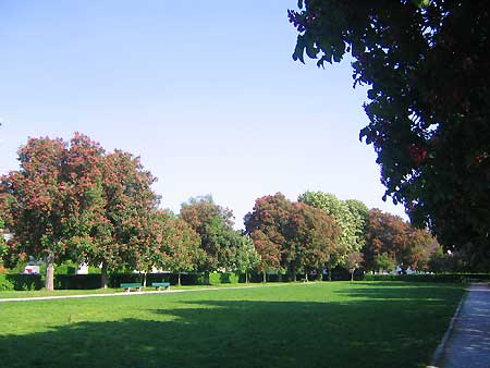 05Clanze_Baum450