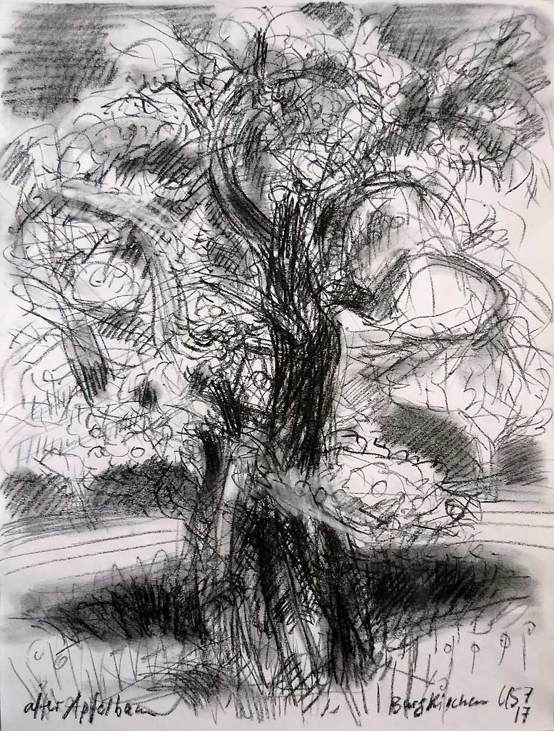 105Burgkirchen Apfelbaum1024