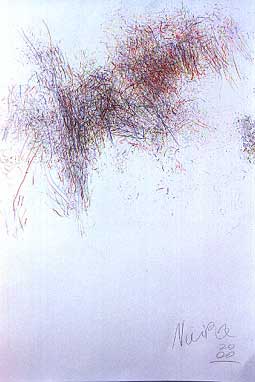Nuira255