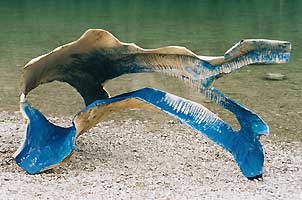 010Krautgass2_302