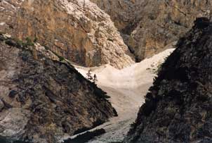 1Vogel_Land2_302