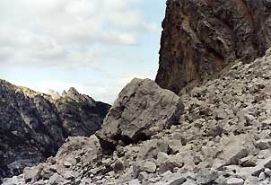 1Vogel_Land9_302