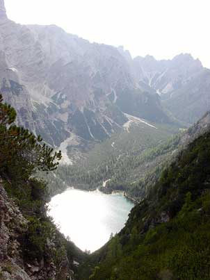 1Wildsee2_Marco302