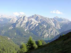 1Wildsee4_Marco302