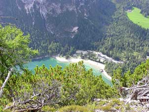 1Wildsee_Marco302