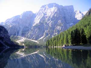 1Wildsee_Spiegel302