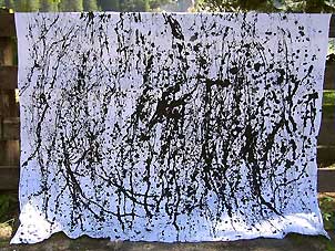 Uli15_Linear_Schwarz302