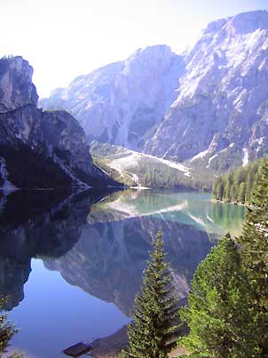 Wildsee302