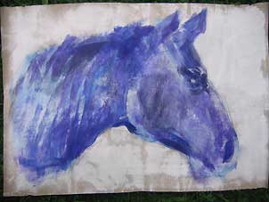 Robert_Bild_Pferd302