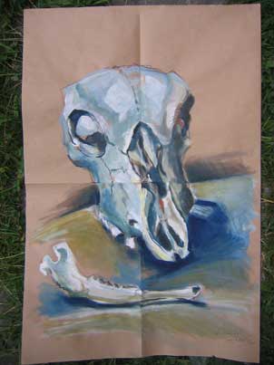 Ulf_Schaedel_vorn302