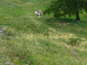 45Norbert_drei_Maler302