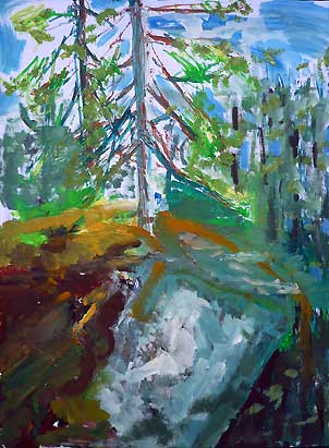 5Sascha_Wald302