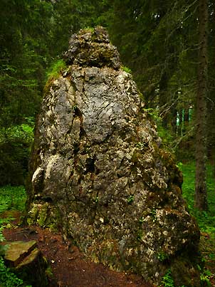 07Rosenkreuz_Wildsee302
