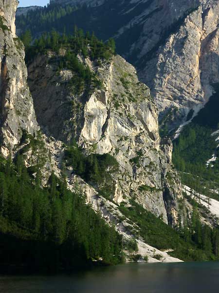 13Tier_Wildsee450