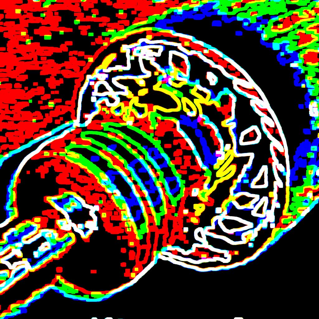 17das bunte Leben1024